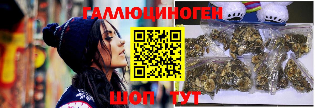 Сосновый Бор  Псилоцибиновые грибы Magic Shrooms  Вход с VPN 